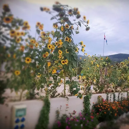 Camping Biokovo Κάμπινγκ Zagvozd