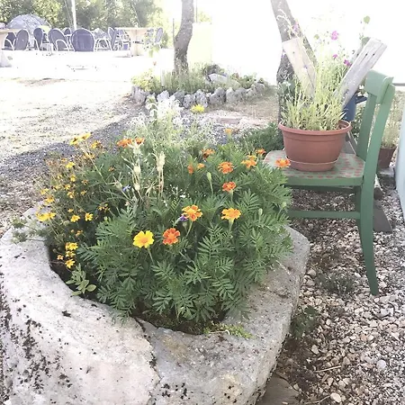 Κάμπινγκ Camping Biokovo