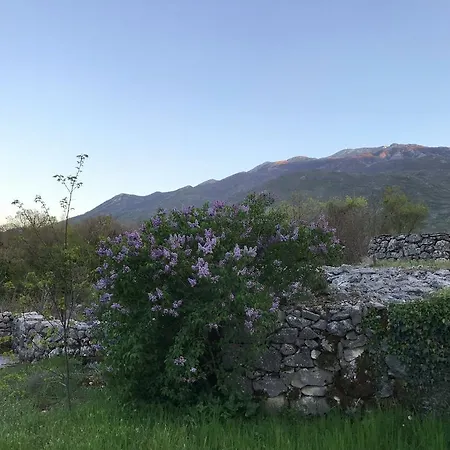 Camping Biokovo Кемпинг Zagvozd